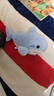 超可愛(ài)海洋動(dòng)物掌中寶鯊魚(yú)海豹鯨魚(yú)桌搭擺件裝飾品送閨蜜同事禮物 鯊魚(yú) 22厘米【做工精致質(zhì)感超絕】 曬單實(shí)拍圖