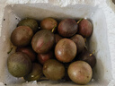 花不凡廣西百香果5斤大果新鮮包郵當季應季水果醬紫皮原漿濃縮汁10整箱 5斤 70-80g(回頭客多) 曬單實(shí)拍圖