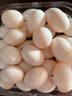 均鮮（junxian）新鮮大個(gè)鴿子蛋30枚禮盒1.3斤孕婦寶寶雜糧喂養雙母鴿蛋源頭直發(fā) 曬單實(shí)拍圖
