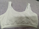 愛(ài)莉兒&歐蘿拉女童內衣一階段小學(xué)生9-12歲兒童發(fā)育期初中純棉女大童小背心80A 曬單實(shí)拍圖
