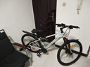 PHILLIPS山地自行車(chē)29寸男女款鋁合金油碟青少年學(xué)生通勤單車(chē) YY2 水泥白/鋁架/油碟 27.5寸-30適合身高：170-195cm 曬單實(shí)拍圖