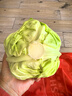 圓白菜約1.5kg（綠甘藍） 曬單實(shí)拍圖