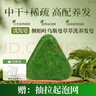 白云山側柏葉洗發(fā)皂80g 新疆烏斯曼草何首烏中草藥固發(fā)防斷脫增密手工皂 1盒【試用裝】店長(cháng)推薦 曬單實(shí)拍圖