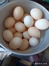 耕果妙農家鮮雞蛋20枚2斤新鮮雞蛋精選雞蛋 源頭直發(fā) 包郵 曬單實(shí)拍圖