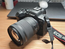 Canon佳能r62二代全畫(huà)幅高端專(zhuān)業(yè)微單數碼照相機r62視頻直播高清相機 R6二代+RF24-105 IS STM套裝 官方標配【不含內存卡配件 推薦購買(mǎi)套餐】 曬單實(shí)拍圖