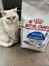 皇家室內老年貓糧 S27 通用糧 7歲以上 3.5KG 曬單實(shí)拍圖