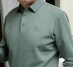 皮爾卡丹（pierre cardin）正品高端男士長(cháng)袖t恤2025新款春秋季翻領(lǐng)中年商務(wù)休閑polo衫男款 綠色 p19715 XL 52/180 建議【142-155斤】 曬單實(shí)拍圖