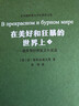 在美好和狂暴的世界上——俄羅斯抒情散文小說(shuō)選(2冊) 河北教育出版社 (蘇)安·普拉東諾夫 等 著(zhù) 非琴 譯 新華正版書(shū)籍包郵 曬單實(shí)拍圖