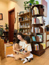 旋轉書(shū)架實(shí)木色可移動(dòng)客廳簡(jiǎn)易落地置物架360度家用學(xué)生書(shū)柜轉角 加厚升級- 胡桃色173 【自行安裝】有安裝教程 曬單實(shí)拍圖