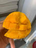 式果禮海南小臺農芒果 需催熟現摘臺農芒雞蛋芒甜心小芒果新鮮熱帶水果 4.5斤 精選小果【單果50-70g】需催熟 曬單實(shí)拍圖
