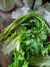 葉菜拼盤(pán)500g(菠菜葉+蒿子稈+生菜葉+娃娃菜) 曬單實(shí)拍圖