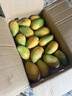 海南小臺農芒果9斤新鮮現摘小臺芒應當季時(shí)令熱帶水果整箱甜心芒 5斤凈重4.5斤 【大果】精選裝 曬單實(shí)拍圖