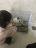 梵昇昱兔籠子加粗加密帶廁所帶腳墊食碗荷蘭豬籠龍貓籠倉鼠籠家用養殖籠 大號50*33*33cm含食碗托盤(pán)腳墊 曬單實(shí)拍圖