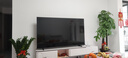 海信電視75E3Q 75英寸 144Hz高刷 U+超畫(huà)質(zhì)引擎  AI語(yǔ)音 智能天線(xiàn)Wi-Fi6  4k液晶平板國家補貼以舊換新 曬單實(shí)拍圖