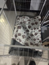 京悠雨狗窩大型犬貓窩寵物墊子四季通用耐撕咬春秋狗窩狗狗寵物用品床 【四季 抗菌面料 耐抓耐磨】北歐灰 3XL【100斤內】 曬單實(shí)拍圖