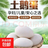 【東東農場(chǎng)專(zhuān)供】新鮮鵝蛋農家正宗特產(chǎn)早餐超市生鮮孕婦寶寶 6枚超級大鵝蛋(單枚130g+) 曬單實(shí)拍圖