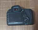 佳能/Canon 5D3 5D4 5D2 6D 6D2 5DS 5DSR 全畫(huà)幅二手單反相機 佳能5D4/5D MARK IV 單機身 【準新】 曬單實(shí)拍圖