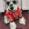 嬉皮狗（hipidog）寵物衣服秋冬福祿滿(mǎn)滿(mǎn)新年兩腳毛衣狗狗貓咪比熊過(guò)年喜慶保暖服飾 福祿滿(mǎn)滿(mǎn) XL（建議體重14-18斤） 曬單實(shí)拍圖
