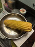 泓花會(huì )東北黃糯玉米白糯玉米黑糯花糯玉米輕食雜糧早晨水果玉米新鮮甜糯 HG特價(jià)新黃糯玉米10根（260-350克）/根（黃糯262） 曬單實(shí)拍圖