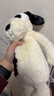 Jellycat【老朋友回歸限量3件】拉弗荻小狗海盜狗黑白小狗毛絨玩偶娃娃 拉弗荻小狗 Medium 曬單實(shí)拍圖