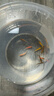 卡奇魚(yú) 斑馬魚(yú) 淡水魚(yú) 觀(guān)賞魚(yú) 小型觀(guān)賞魚(yú) 熱帶魚(yú) 蝶翼斑馬熒光好養易活 糖果斑馬10條1.5-2.5cm最少3種色 曬單實(shí)拍圖