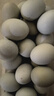 峪農山綠殼烏雞蛋農家散養綠殼蛋蟲(chóng)草蛋小時(shí)候的味道兒童孕婦可食 40枚綠殼雞蛋 曬單實(shí)拍圖