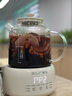 小質(zhì)養生壺1.5L全玻璃花茶壺帶燉盅0膠水0金屬恒溫煮茶器辦公室熱牛奶神器保溫家用燒水電熱水壺YSH12B 曬單實(shí)拍圖