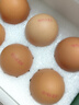 大個(gè)放養鮮雞蛋谷物喂養紅殼70g禮盒6枚裝順豐包郵曉鳴自養鮮雞蛋 非籠養70g大個(gè)雞蛋6枚裝 曬單實(shí)拍圖