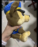 汪汪隊立大功（PAW PATROL）毛絨玩具狗狗陪睡玩偶經(jīng)典款阿奇小號坐姿可愛(ài)公仔男女孩生日禮物 曬單實(shí)拍圖
