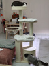 獸牌慕斯實(shí)木貓爬架不占地貓架貓窩貓抓板一體帶太空艙大貓暖冬可用 慕斯 曬單實(shí)拍圖