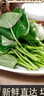 槿饈紅薯葉新鮮專(zhuān)吃葉子地瓜葉嫩尖農家自種食用番薯葉苕尖天然蔬菜 新鮮食用番薯葉 2斤 曬單實(shí)拍圖
