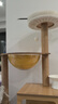 瓏小寵貓爬架貓窩加粗大型貓樹(shù)一體太空艙貓架子小戶(hù)型不占地麻繩貓玩具 127cm 4層 【太空艙木屋款】 曬單實(shí)拍圖