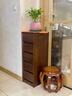 致典全實(shí)木斗柜 黑胡桃木超窄抽屜柜意式簡(jiǎn)約客廳臥室多功能儲物邊柜 【五抽柜】含踢腳線(xiàn) 曬單實(shí)拍圖