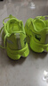 李寧赤兔9PRO丨跑步鞋男新款中考體測專(zhuān)業(yè)減震競速訓練馬拉松運動(dòng)鞋 熒光亮綠-2 42 曬單實(shí)拍圖