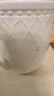 瑪戈隆特【新年禮物】純白浮雕茶杯骨瓷水杯杯子法式牛奶杯家用辦公杯 楓丹白露水杯 500ml 1只 曬單實(shí)拍圖