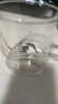 富光FU+玻璃杯 高硼硅玻璃咖啡杯 茶水分離泡茶杯子 辦公室帶蓋水杯 曬單實(shí)拍圖
