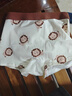 棉奇熊男童內褲兒童純棉a類(lèi)短褲2025新款四角褲男孩小學(xué)生4條裝-G203-XL 曬單實(shí)拍圖