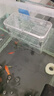 奈寵魚(yú)缸隔離盒孵化盒熱帶魚(yú)小魚(yú)幼魚(yú)大小號孔雀魚(yú)繁殖盒孵化器產(chǎn)卵房 【孵化盒雙房】大號氣動(dòng)款 曬單實(shí)拍圖