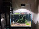 樂(lè )迪魚(yú)缸燈72W爆藻燈原生態(tài)溪流缸燈金魚(yú)出苔 NX扁燈  黑色72W【單色調光  APP控制】 曬單實(shí)拍圖