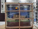 玉弘杰落地生態(tài)魚(yú)缸客廳中大型靠墻免換水智能玻璃缸家用水族箱恒溫加熱 紅木紋 150X50X140CM長(cháng)/寬/高 曬單實(shí)拍圖