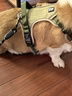 COCS狗胸背帶中大型犬背心式牽引繩防沖爆拉布拉多金毛柴犬邊牧遛狗繩 卡其狗胸背帶1個(gè)-1.5米狗繩1根 L-(胸圍54-71cm  建議28-45斤） 曬單實(shí)拍圖