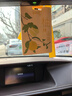 希望樹(shù)清新樹(shù) 3片香薰掛片柚林山風(fēng)車(chē)載香薰香片車(chē)內衣柜除味除臭留香 曬單實(shí)拍圖