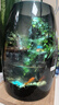 丘辰苔蘚微景觀(guān)養魚(yú)生態(tài)瓶diy辦公室內桌面綠植擺件花卉盆栽生日禮物 翠微2025款-店長(cháng)推薦 曬單實(shí)拍圖