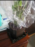富貴竹盆栽植物室內凈化空氣綠植荷花竹辦公室桌面四季好養小盆栽 荷花竹+節節高升盆+圓底座【1盆】 盆口直徑約8cm 曬單實(shí)拍圖