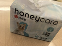 HONEYCARE好命家 狗狗紙尿褲公狗尿不濕安全褲XS適用體重2.5-4kg/12片3包裝 曬單實(shí)拍圖