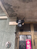 防術(shù)四畫(huà)面監控攝像頭手機遠程wifi高清監控器360度無(wú)死角帶夜視全景可對話(huà)追蹤農村院子可防水室戶(hù)外 曬單實(shí)拍圖