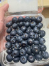 京鮮生云南藍莓當季 12盒超大果22mm+裝 125g/盒 生鮮年貨水果 源頭直發(fā) 曬單實(shí)拍圖