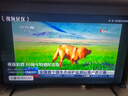 TCL電視 50V8L Pro 50英寸 144Hz QLED量子點(diǎn) 3GB+64GB大內存 4K大屏 DeepSeek AI電視 國家補貼 曬單實(shí)拍圖