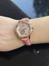 流浪琴撫瑞士原裝正品進(jìn)口女士手表潮流飛輪機械表送禮首選生日禮物女表 貝母盤(pán)玫金粉面粉帶 30mm 曬單實(shí)拍圖