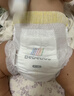 bebebus裝仔pro成長(cháng)褲 XL28片(12-17kg)超薄拉拉學(xué)步褲男女寶尿不濕 曬單實(shí)拍圖